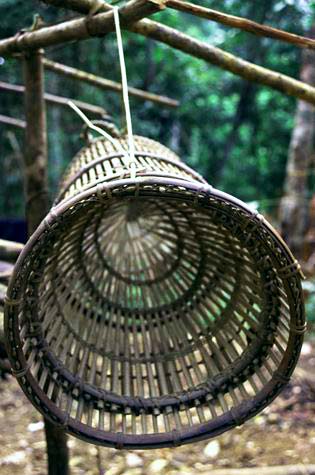 Fish trap made from rattan