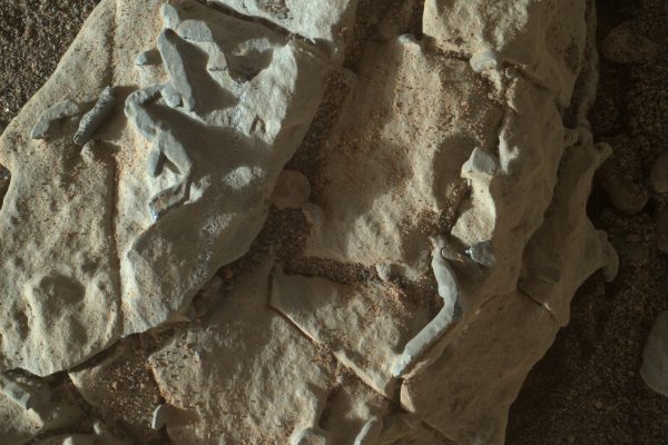 3D model of Fossil-Like Structures on Mars